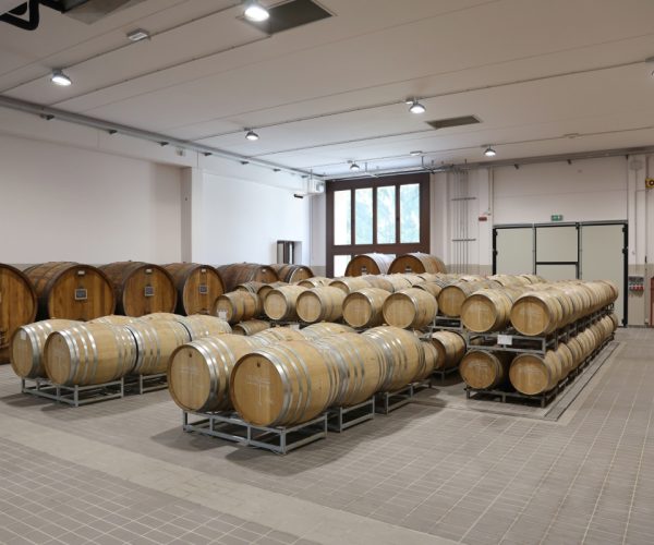 Vietti