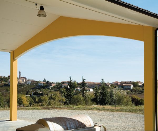 Negri Azienda Vitivinicola